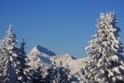 Photo de la station d'Avoriaz