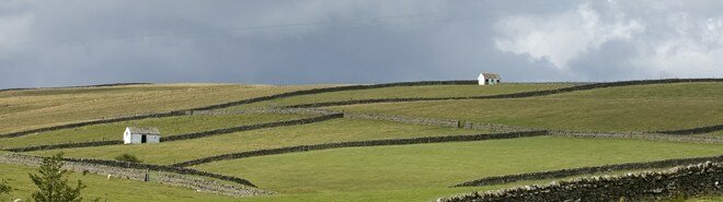English fields