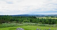 Dungannon