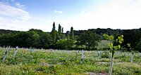 Leicestershire
