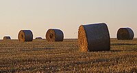 South Gloucestershire